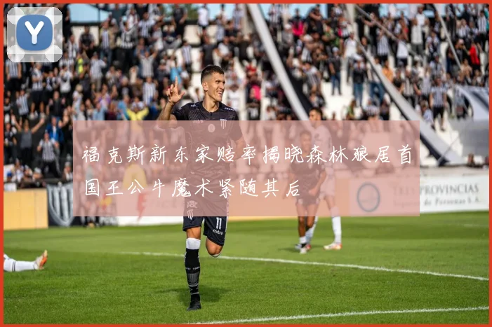 福克斯新东家赔率揭晓森林狼居首国王公牛魔术紧随其后