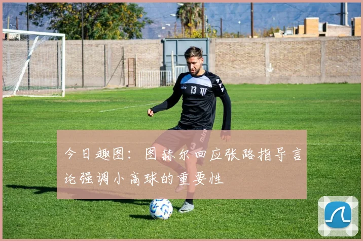 今日趣图：图赫尔回应张路指导言论强调小高球的重要性
