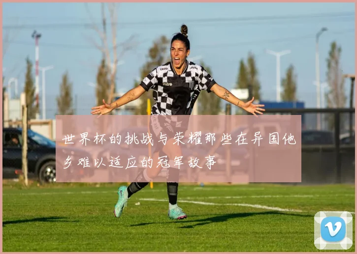 世界杯的挑战与荣耀那些在异国他乡难以适应的冠军故事